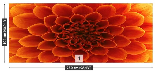Fototapet Floare