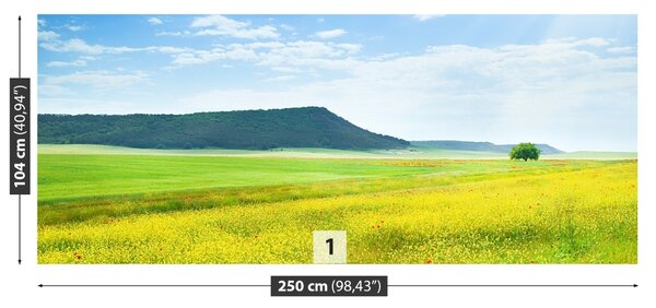 Fototapet Spring Meadow