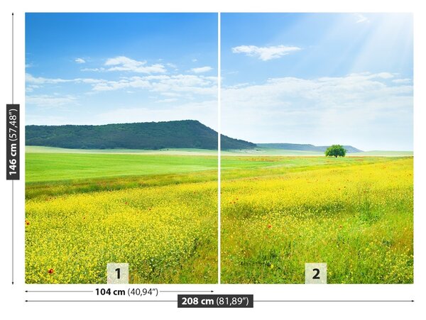 Fototapet Spring Meadow