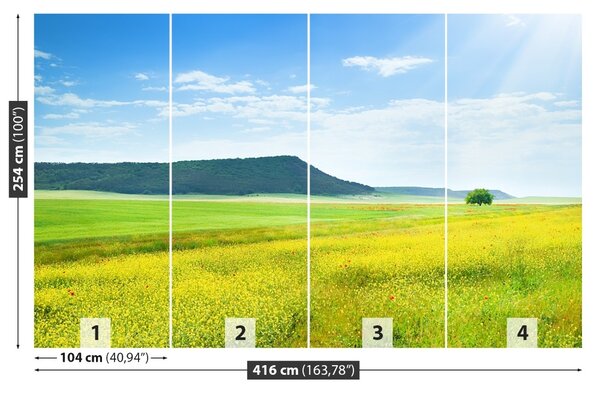 Fototapet Spring Meadow