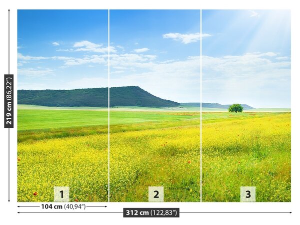 Fototapet Spring Meadow