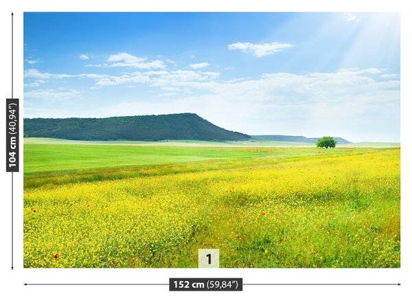 Fototapet Spring Meadow