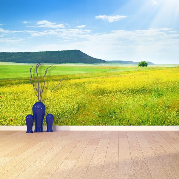 Fototapet Spring Meadow