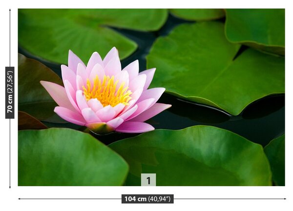 Fototapet Floare de lotus