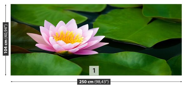 Fototapet Floare de lotus