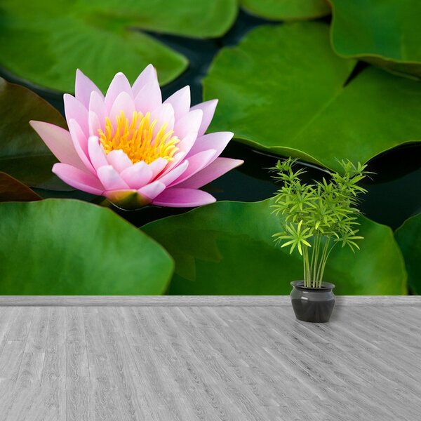 Fototapet Floare de lotus