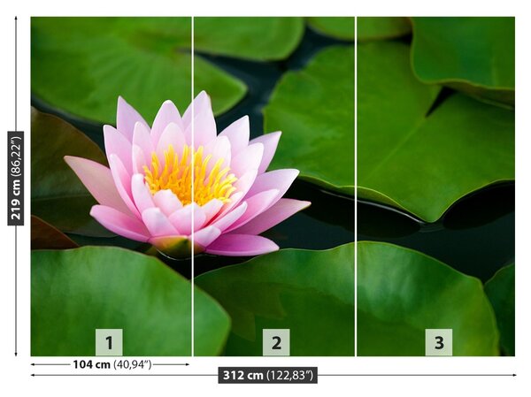Fototapet Floare de lotus