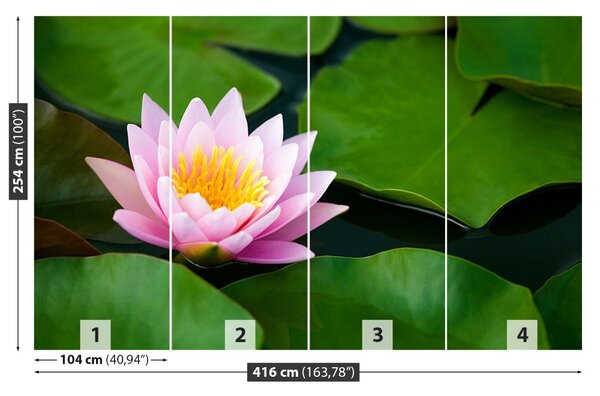 Fototapet Floare de lotus