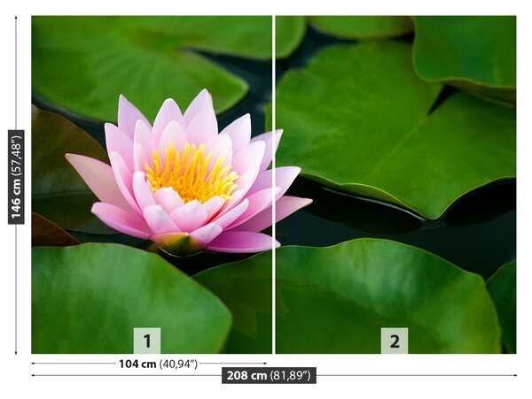 Fototapet Floare de lotus