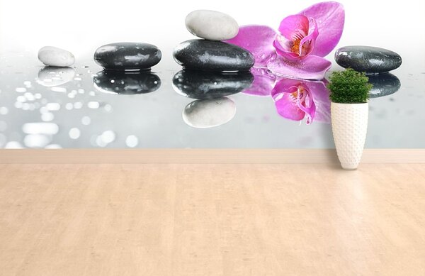 Fototapet Spa pietre