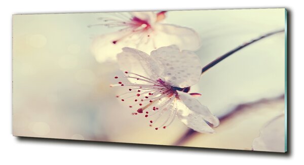 Imagine de sticlă floare de cires