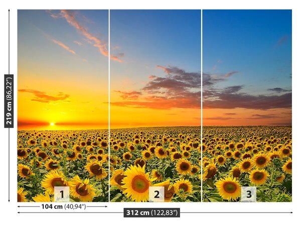 Fototapet Domeniu de Sunflowers