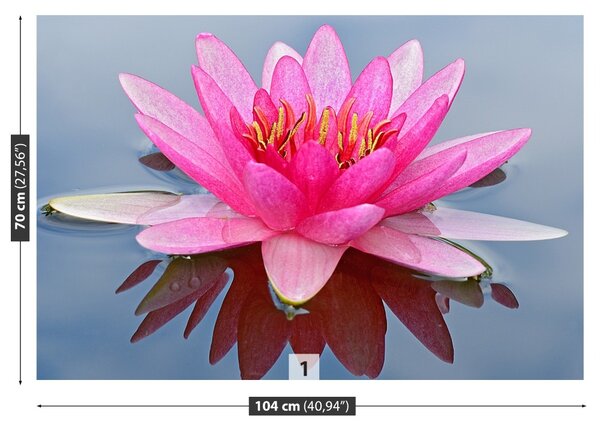 Fototapet Pink Water Lily