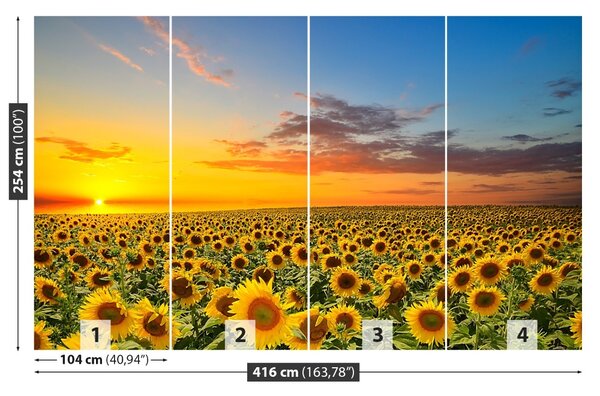 Fototapet Domeniu de Sunflowers