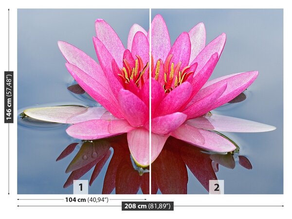 Fototapet Pink Water Lily