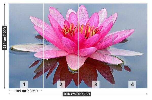 Fototapet Pink Water Lily