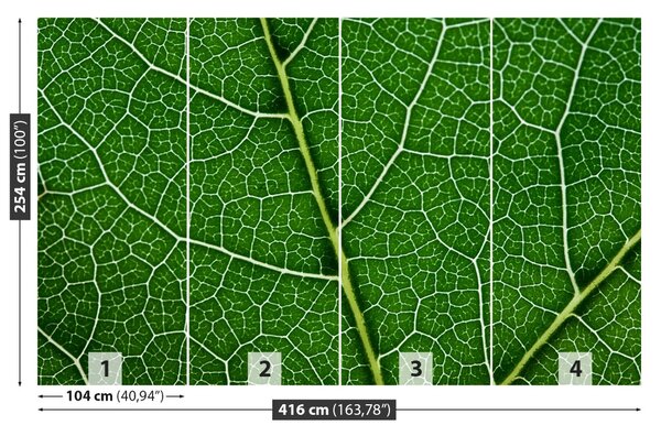Fototapet Frunză verde