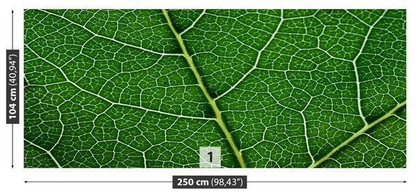 Fototapet Frunză verde
