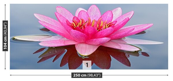 Fototapet Pink Water Lily