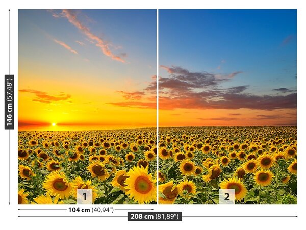 Fototapet Domeniu de Sunflowers