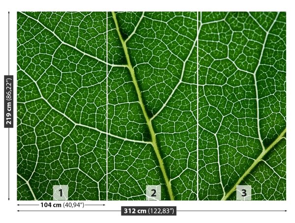 Fototapet Frunză verde