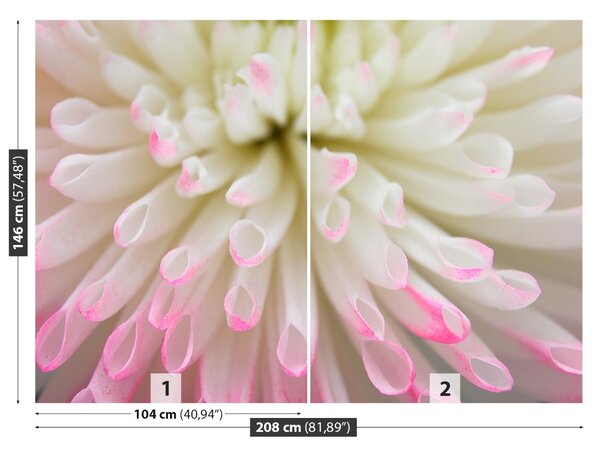 Fototapet alb Aster