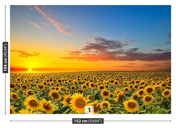 Fototapet Domeniu de Sunflowers