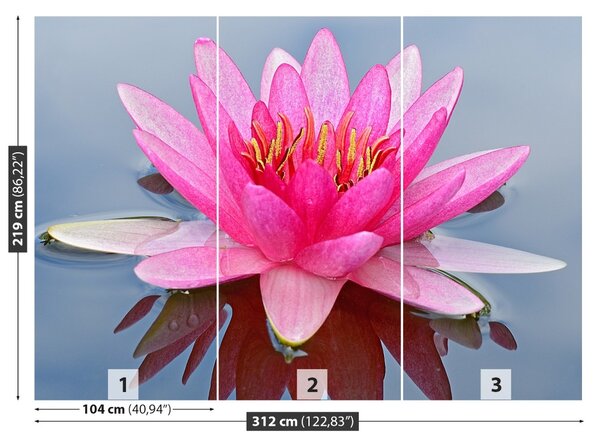 Fototapet Pink Water Lily