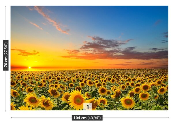 Fototapet Domeniu de Sunflowers