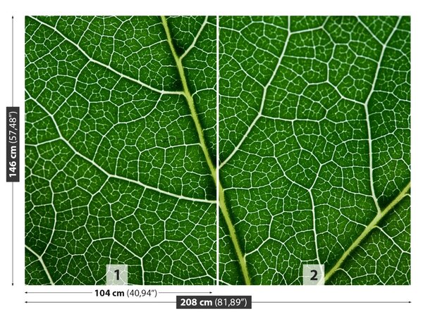 Fototapet Frunză verde