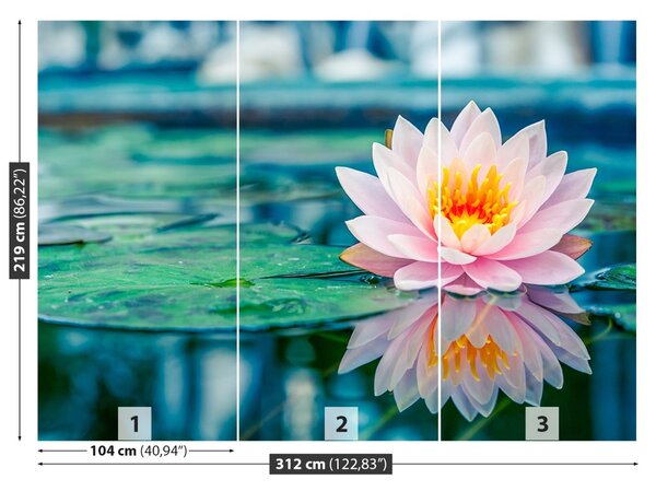 Fototapet roz Lotus