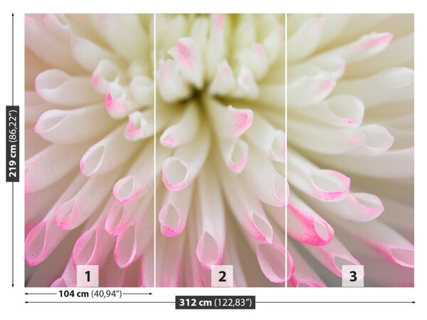 Fototapet alb Aster