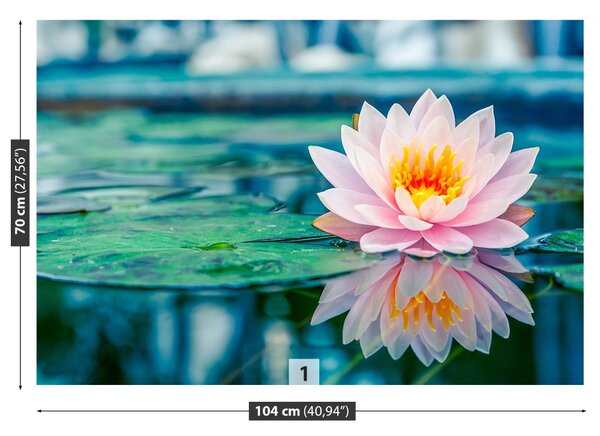 Fototapet roz Lotus