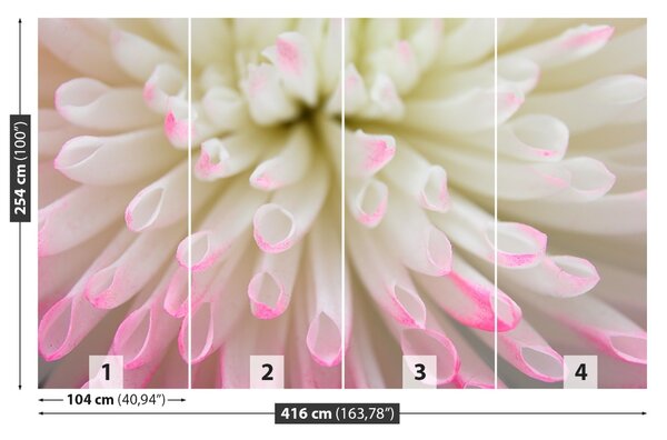Fototapet alb Aster