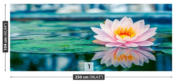 Fototapet roz Lotus