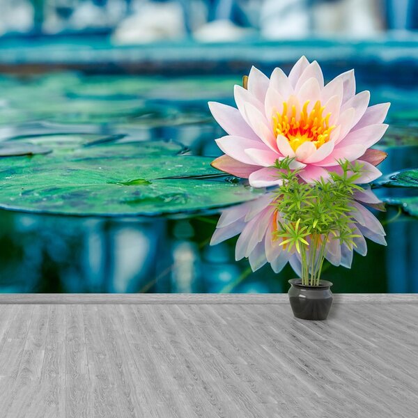 Fototapet roz Lotus