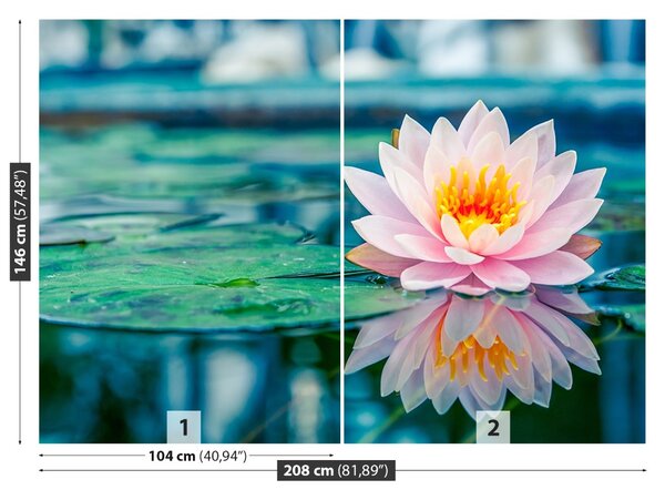 Fototapet roz Lotus
