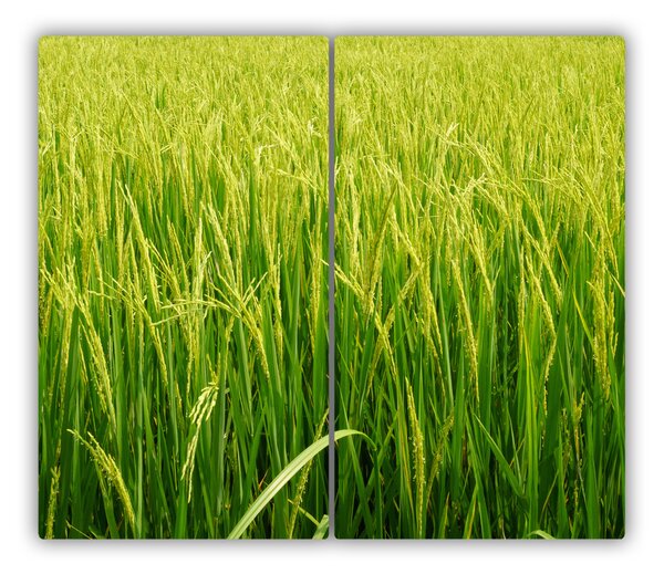 Tocator din sticla Paddy câmp