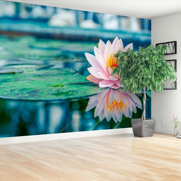 Fototapet roz Lotus