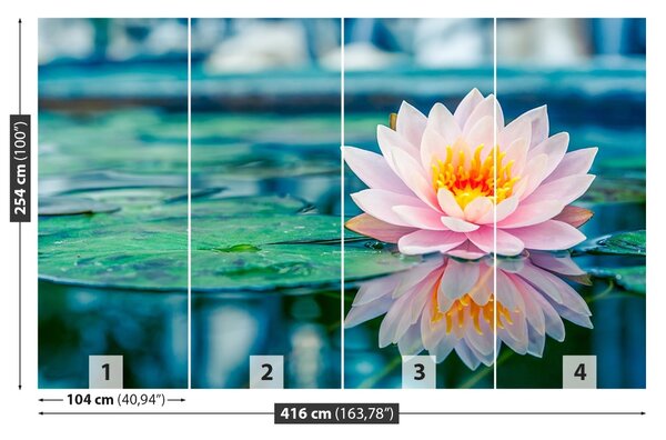Fototapet roz Lotus