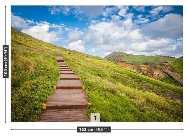 Fototapet Insula Madeira