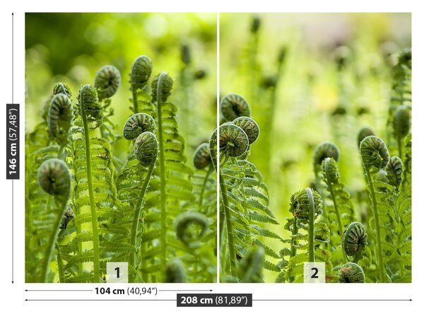 Fototapet Green Fern