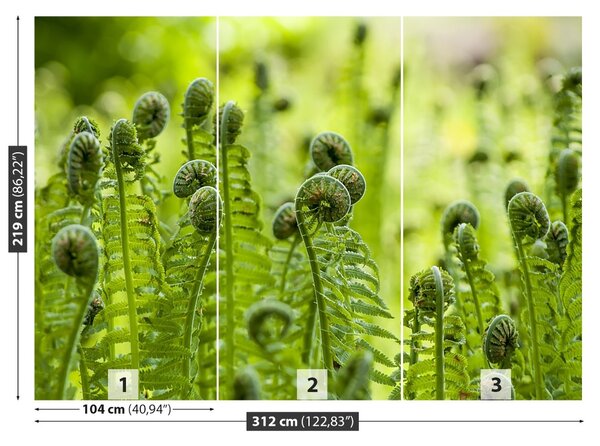 Fototapet Green Fern
