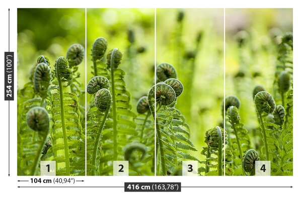 Fototapet Green Fern