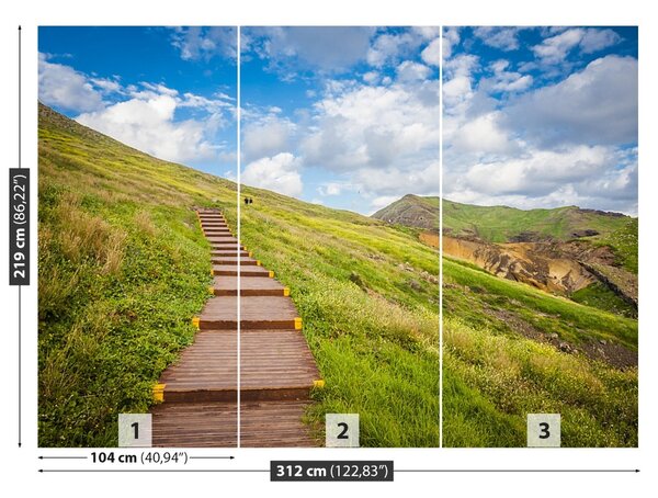 Fototapet Insula Madeira