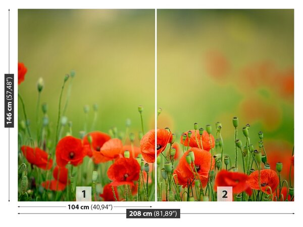 Fototapet Flori de mac