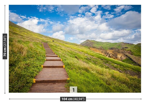 Fototapet Insula Madeira