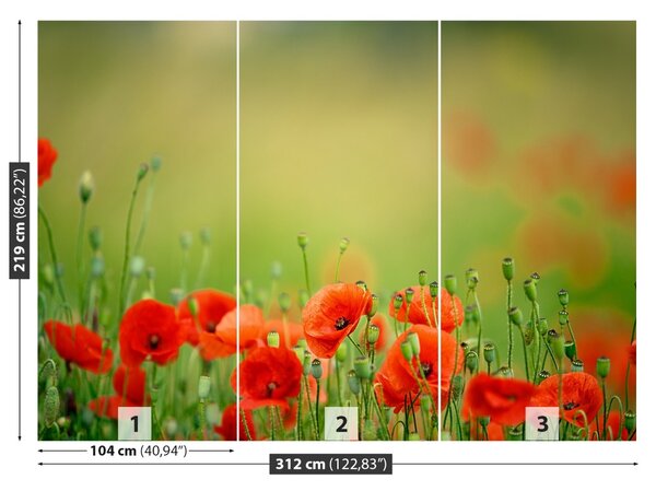Fototapet Flori de mac
