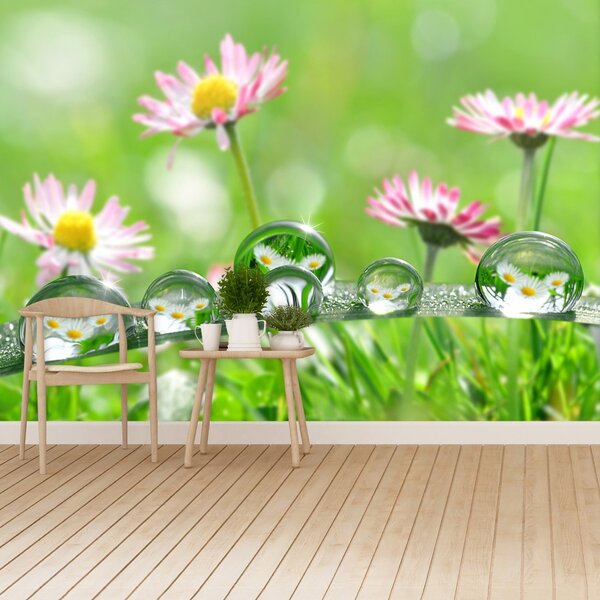 Fototapet margarete verde