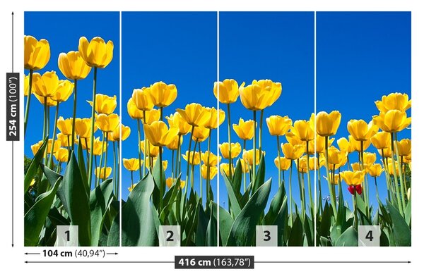 Fototapet Lalele Flori
